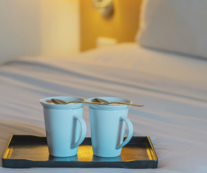 Выход на внутренний туристический рынок: сотрудничество с Алеан